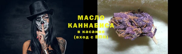сатива Строитель