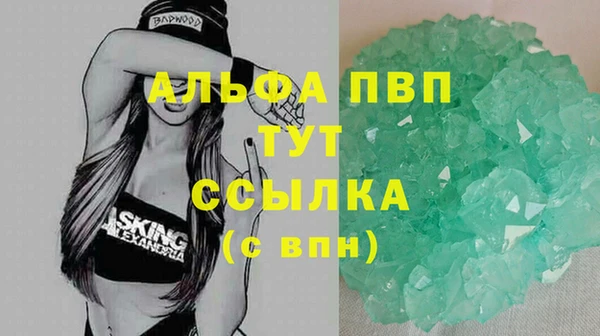 сатива Строитель